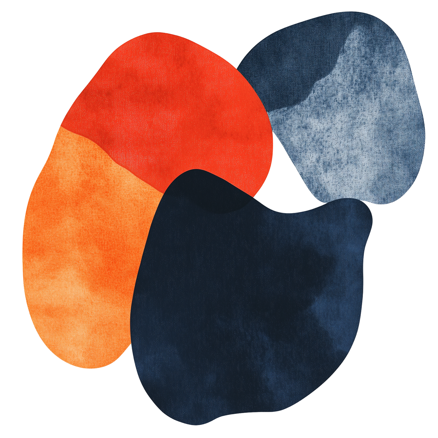 The Standard Model: a unified patient representation