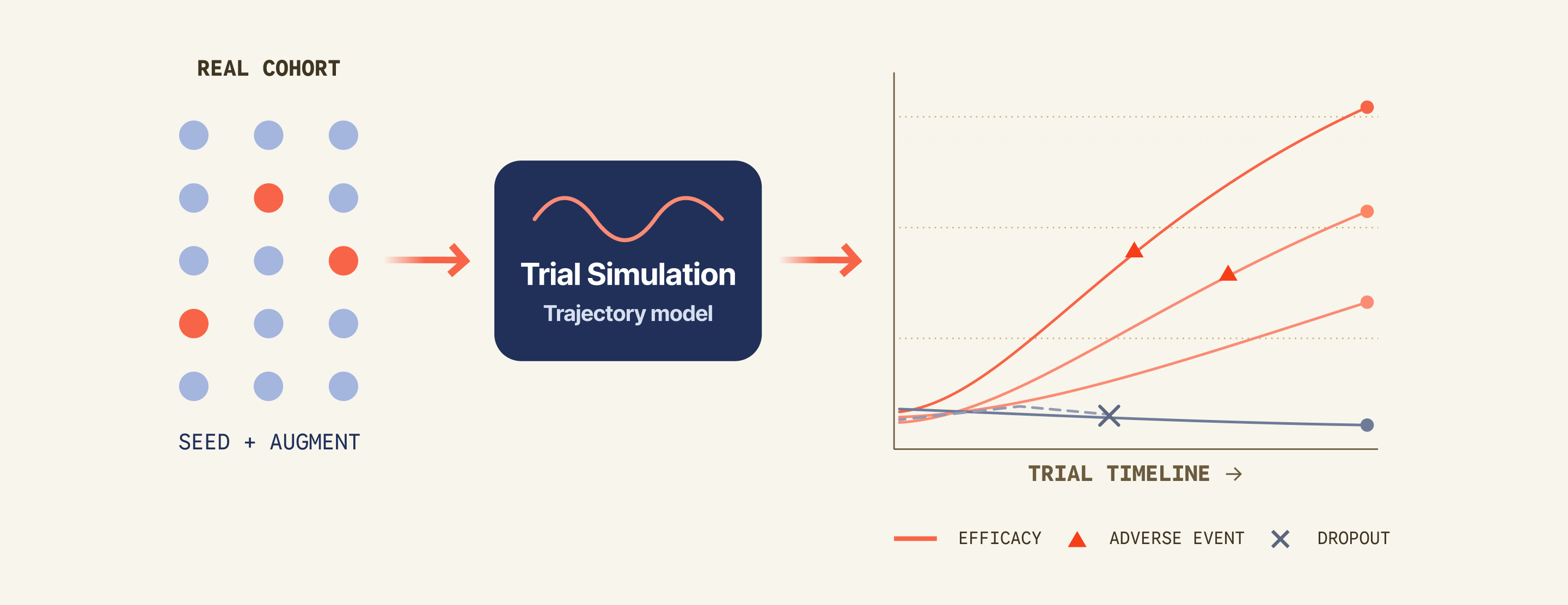 A real cohort seeded and augmented into simulated patient trajectories over the trial timeline